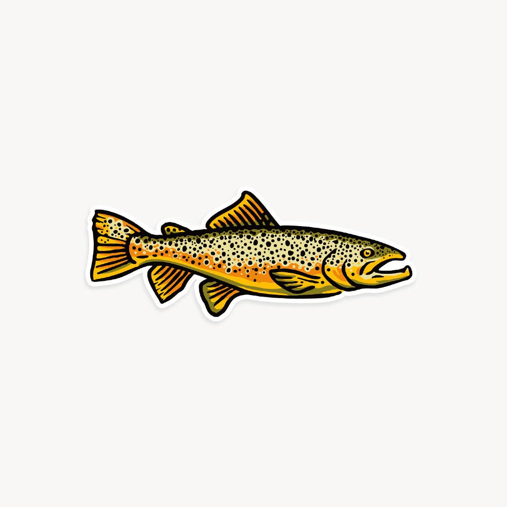 Freshwater Fish Vinyl Stickers - Three Pack - Image 3
