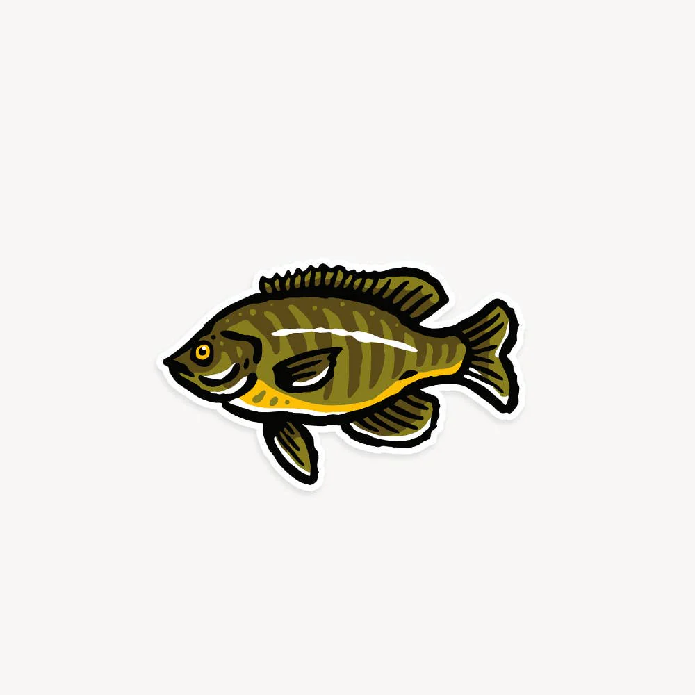 Freshwater Fish Vinyl Stickers - Three Pack - Image 5