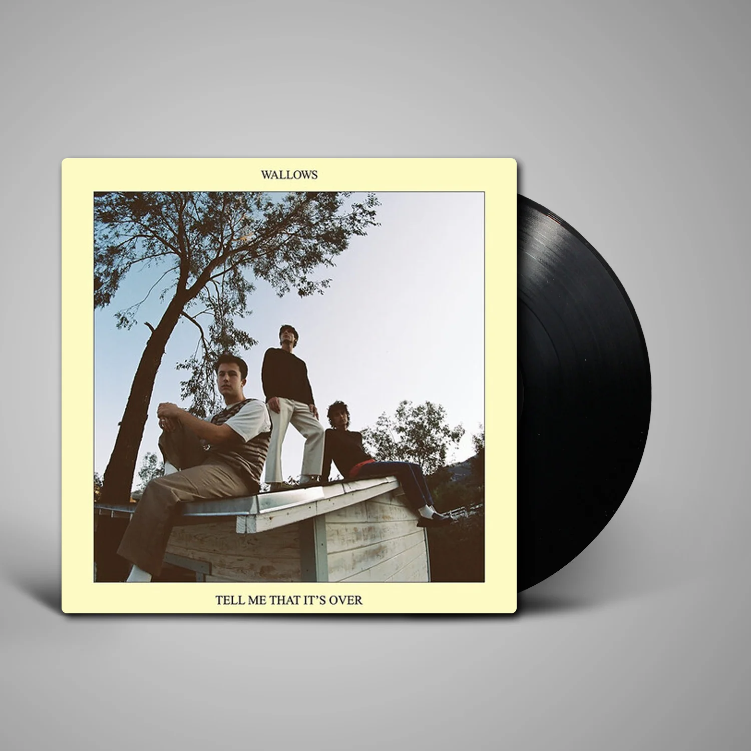 Wallows - Tell Me That It's Over - Image 2